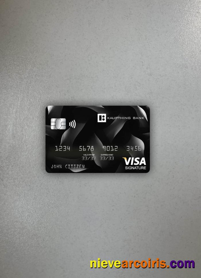 Iceland Kaupthing visa signature card photolook